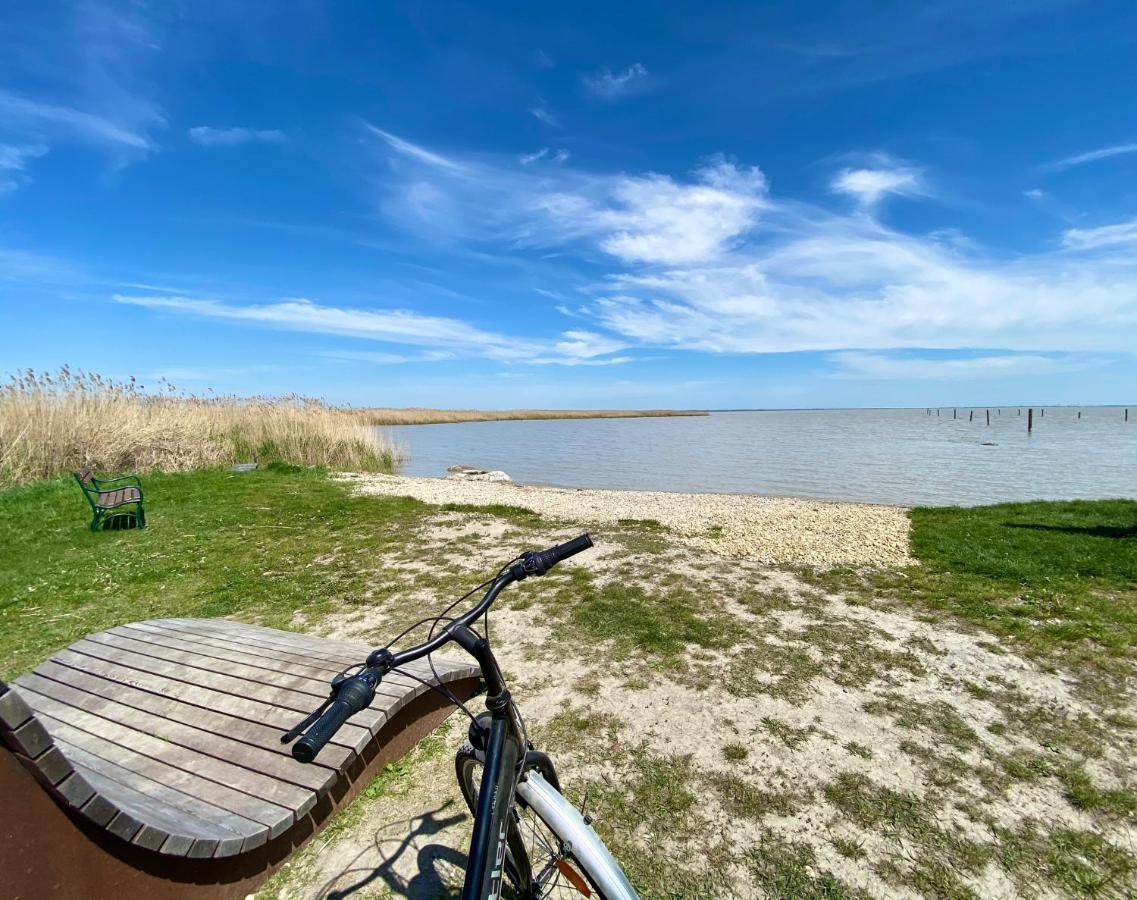 Apartmán Sammer Residenz, Breitenbrunn Am Neusiedlersee Exteriér fotografie